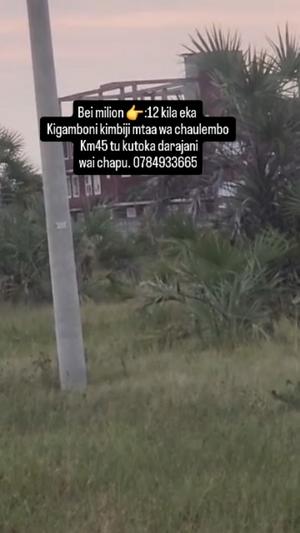 Farm for Sale in Kigamboni Kimbiji Chaulembo, Dar Es Salaam (4 acre)
