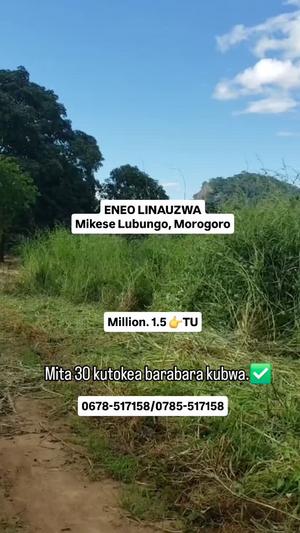 Kiwanja kinauzwa Mikese Lubungo, Morogoro Kiwanja kinauzwa Mikese Lubungo, Morogoro