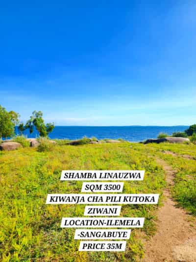 Kiwanja kinauzwa ILEMELA-SANGABUYE, Mwanza (3500 sqm)