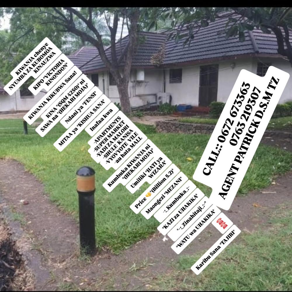 media -1 media -1