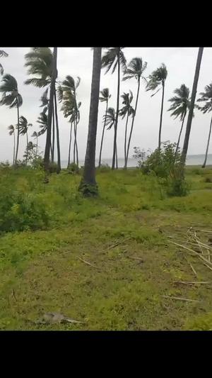 Beach Plot kinauzwa Msimbati, Mtwara (70 acre) Beach Plot kinauzwa Msimbati, Mtwara (70 acre)