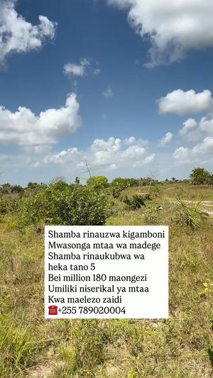 Shamba linauzwa Kigamboni Mwasonga Mtaa wa Madege, Dar Es Salaam (5 acre) Shamba linauzwa Kigamboni Mwasonga Mtaa wa Madege, Dar Es Salaam (5 acre)