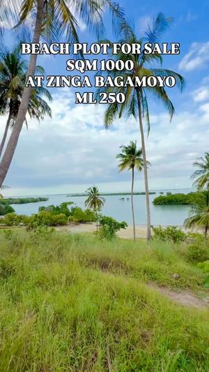 Beach Plot for Sale in Zinga Bagamoyo, Pwani (1000 sqm)