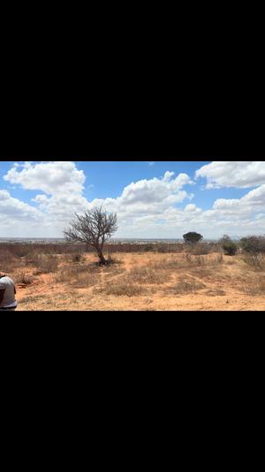 Kiwanja kinauzwa Nzuguni C, Dodoma (1147 sqm)