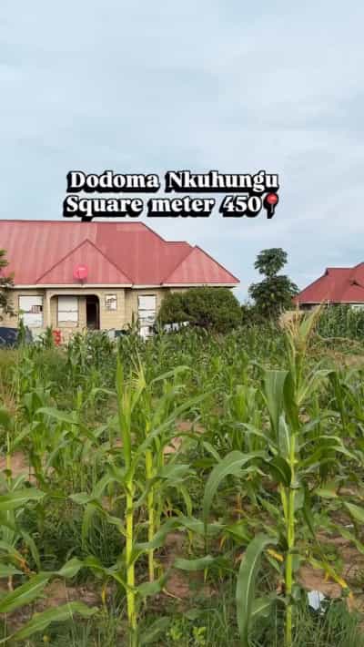 Residential Plot for Sale in Nkuhungu, Dodoma (450 sqm)