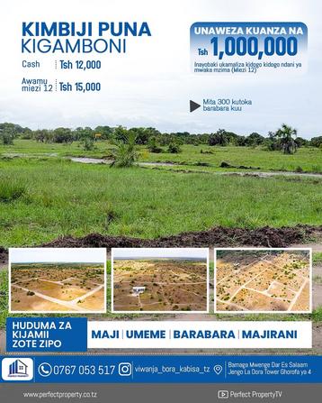 Viwanja vinauzwa Kimbiji Puna, Dar Es Salaam sqm 500