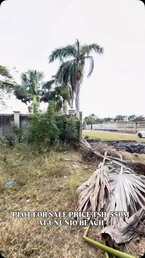 Beach Plot kinauzwa Ununio Beach, Dar Es Salaam (2400 sqm) Beach Plot kinauzwa Ununio Beach, Dar Es Salaam (2400 sqm)
