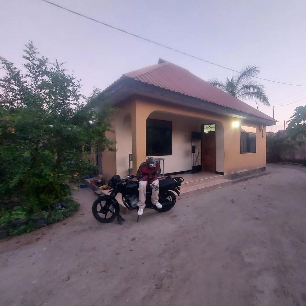 media -3