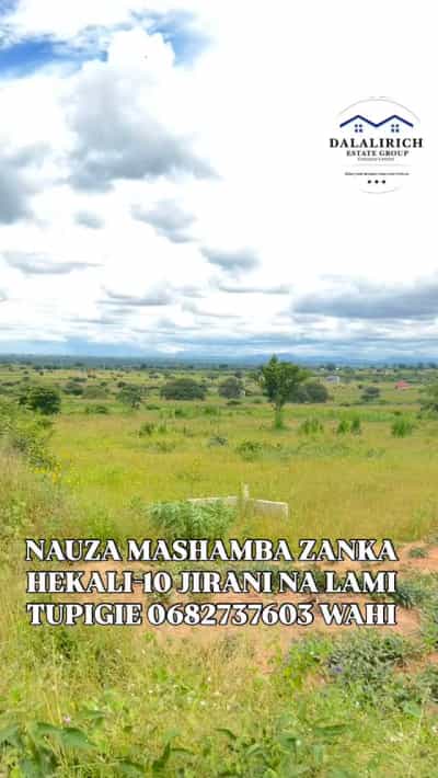 Shamba linauzwa Zanka, Dodoma (10 acre)