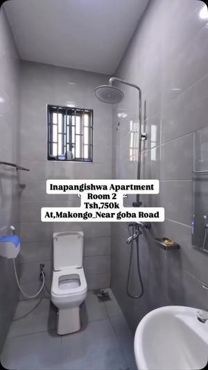 2 Bedrooms Apartment for Rent in Makongo, Dar Es Salaam 2 Bedrooms Apartment for Rent in Makongo, Dar Es Salaam