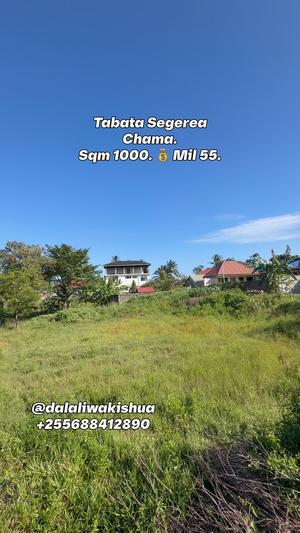 Plot for sale in Segerea Chama, Dar Es Salaam sqm 1000
