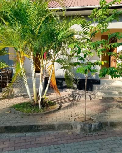 House/Apartment for Rent in Pugu, Dar Es Salaam House/Apartment for Rent in Pugu, Dar Es Salaam