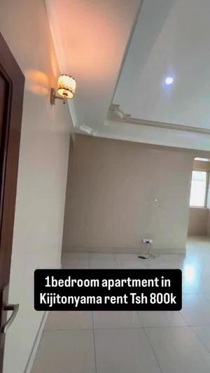 1 Bedroom Apartment for Rent in Kijitonyama, Dar Es Salaam