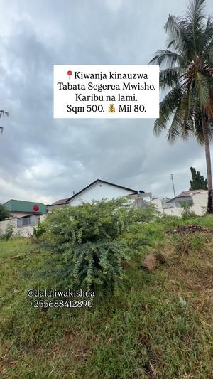 Kiwanja kinauzwa Tabata Segerea Mwisho, Dar Es Salaam (500 sqm)
