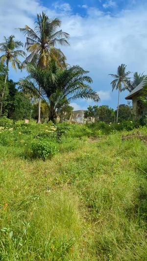 Residential Plot for Sale in Goba Tegeta A, Dar Es Salaam (300 sqm)