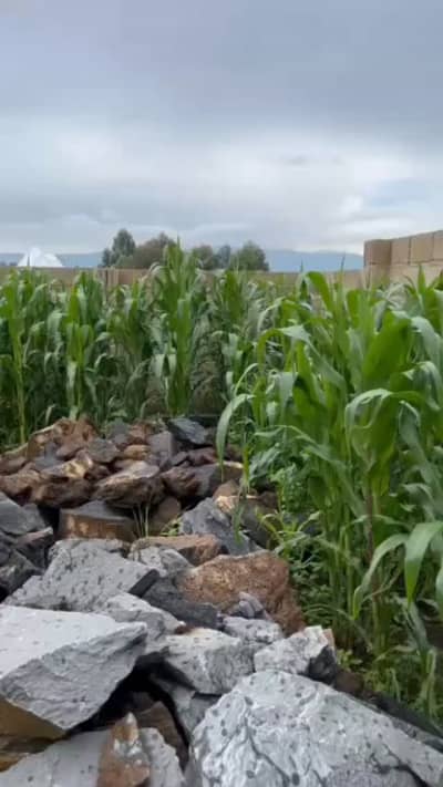 1 Bedrooms House for Rent in Iwambi, Mbeya