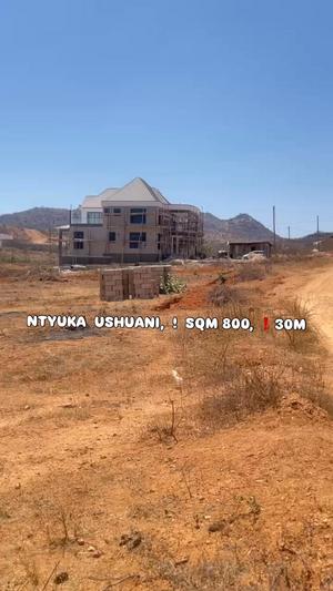 Kiwanja kinauzwa Ntyuka, Dodoma (800 sqm)