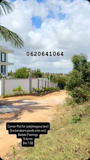 Plot for sale in Madale Flamingo, Dar Es Salaam acre 9 Plot for sale in Madale Flamingo, Dar Es Salaam acre 9