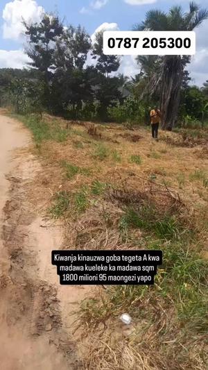 Plot for sale in Goba Tegeta A, Dar Es Salaam sqm 1800