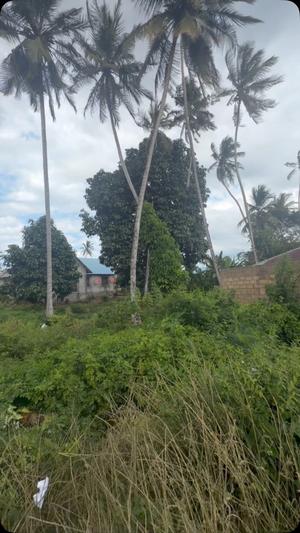 Kiwanja kinauzwa Fuoni Michenzani, Zanzibar - Unguja South sqm 2850 Kiwanja kinauzwa Fuoni Michenzani, Zanzibar - Unguja South sqm 2850