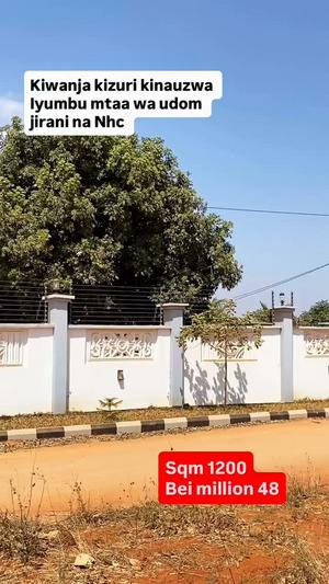 Residential Plot for Sale in Iyumbu, Dodoma (1200 sqm) Residential Plot for Sale in Iyumbu, Dodoma (1200 sqm)
