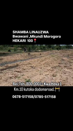 Farm for Sale in Mkundi Bwawani, Morogoro (1 acre)