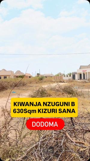 Kiwanja kinauzwa Nzuguni B Chuo, Dodoma (625 sqm)