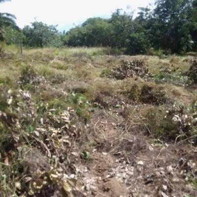 Viwanja vinauzwa Kibaha Kwa Matiasi, Pwani sqm 400 Viwanja vinauzwa Kibaha Kwa Matiasi, Pwani sqm 400