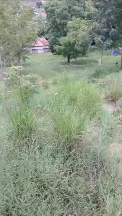 Kiwanja kinauzwa Kimara Korogwe, Dar Es Salaam (550 sqm) Kiwanja kinauzwa Kimara Korogwe, Dar Es Salaam (550 sqm)