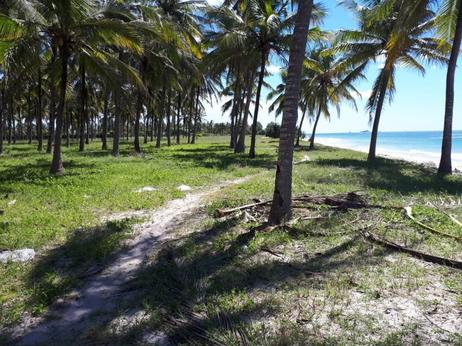 Beach Plot kinauzwa Gezaulole, Kigamboni, Dar Es Salaam (10.6 acre) Beach Plot kinauzwa Gezaulole, Kigamboni, Dar Es Salaam (10.6 acre)