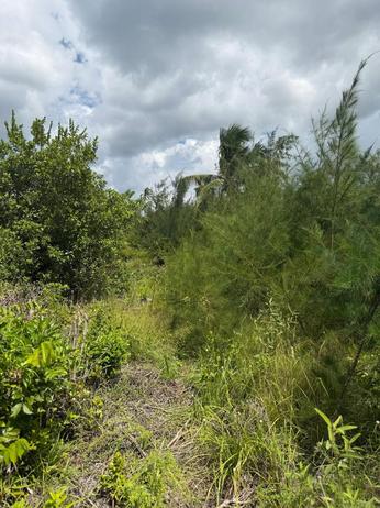 Beach Plot for Sale in Pongwe Ya Uroa, Tanga (1640 sqm)