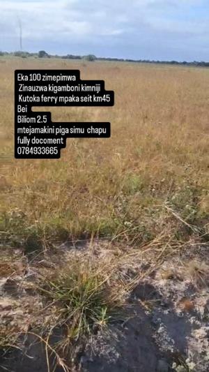 Mashamba yanauzwa Kigamboni Kimbiji, Dar Es Salaam (100 acre) Mashamba yanauzwa Kigamboni Kimbiji, Dar Es Salaam (100 acre)