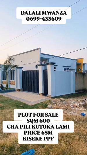 Residential Plot for Sale in Kiseke Ppf, Mwanza (600 sqm)
