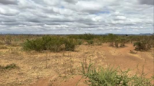 Kiwanja kinauzwa Kitelela, Dodoma sqm 1175 Kiwanja kinauzwa Kitelela, Dodoma sqm 1175