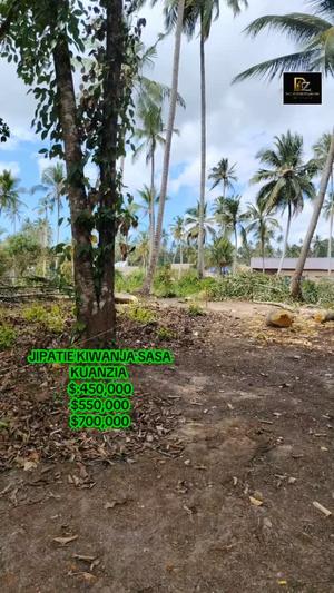 Kiwanja kinauzwa Mwera Pongwe, Tanga (2500 sqm) Kiwanja kinauzwa Mwera Pongwe, Tanga (2500 sqm)