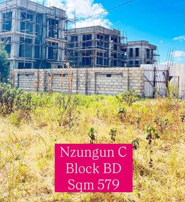 Kiwanja kinauzwa Nzuguni C, Dodoma sqm 579 Kiwanja kinauzwa Nzuguni C, Dodoma sqm 579