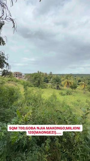 Kiwanja kinauzwa Goba, Dar Es Salaam (700 sqm) Kiwanja kinauzwa Goba, Dar Es Salaam (700 sqm)