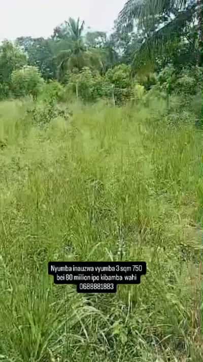 3 Bedrooms House for sale in Kibamba, Dar Es Salaam