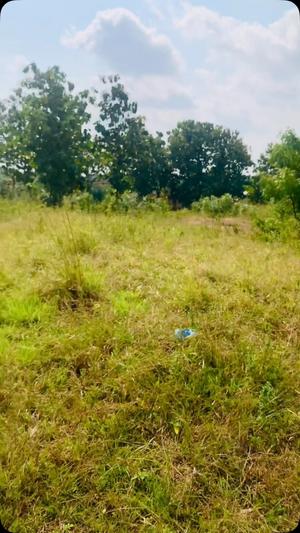 Plot for sale in Bunju Mabwepande, Dar Es Salaam sqm 768 Plot for sale in Bunju Mabwepande, Dar Es Salaam sqm 768