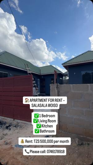 Apartment ya chumba kimoja inapangishwa Salasala Woiso, Dar Es Salaam