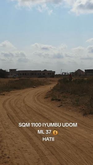 Plot for sale in Iyumbu Udom, Dodoma sqm 1100