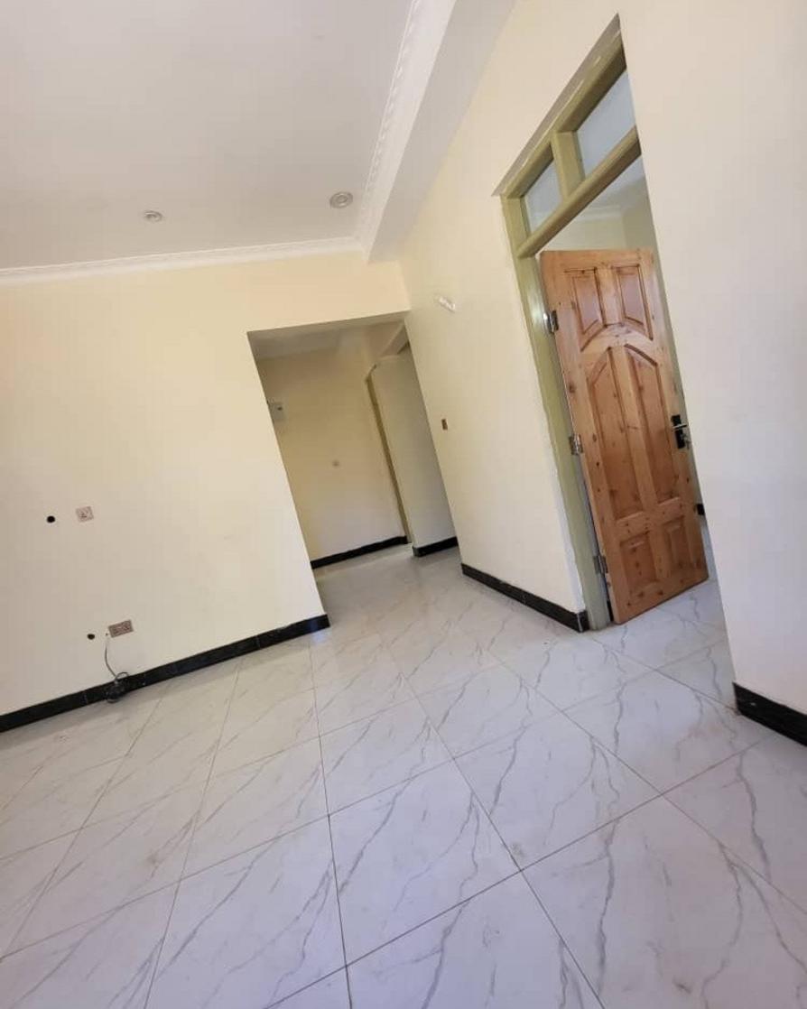 media -5 media -5