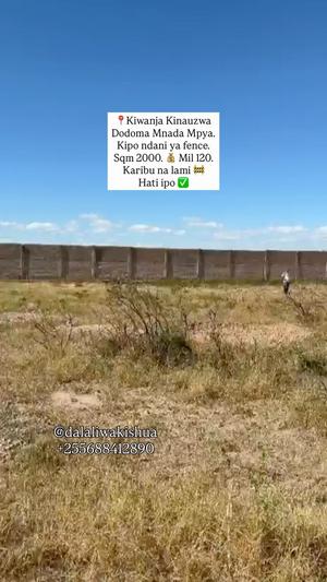 Kiwanja (Commercial Plot) kinauzwa Mnada Mpya, Dodoma (2000 sqm) Kiwanja (Commercial Plot) kinauzwa Mnada Mpya, Dodoma (2000 sqm)