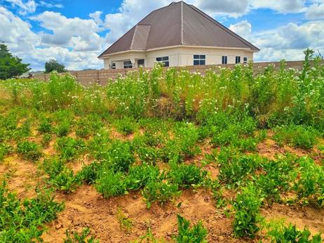 Kiwanja kinauzwa Iyumbu, Dodoma sqm 1000