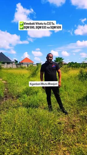 Viwanja vinauzwa Mbutu Mkwajuni, Tabora sqm 590 Viwanja vinauzwa Mbutu Mkwajuni, Tabora sqm 590