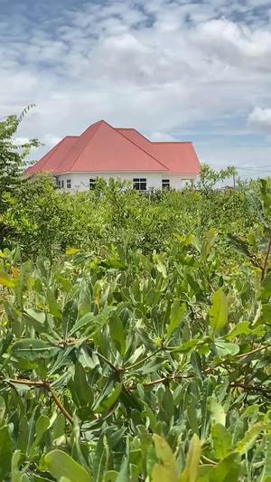 Kiwanja kinauzwa Miganga, Dodoma sqm 531