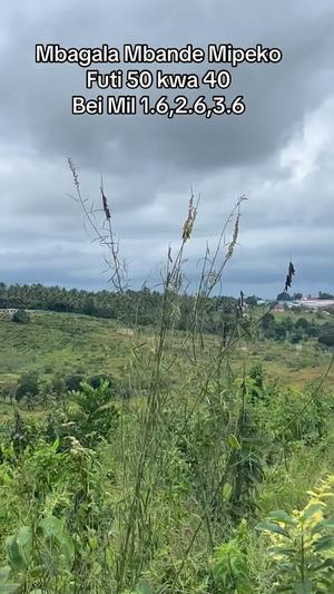 Viwanja vinauzwa Mbande Mipeko, Dar Es Salaam Viwanja vinauzwa Mbande Mipeko, Dar Es Salaam