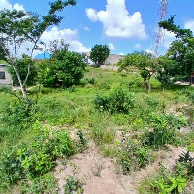 Kiwanja kinauzwa Kimara Temboni Saranga, Dar Es Salaam (400 sqm) Kiwanja kinauzwa Kimara Temboni Saranga, Dar Es Salaam (400 sqm)
