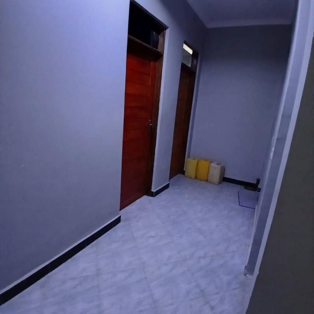 media -4