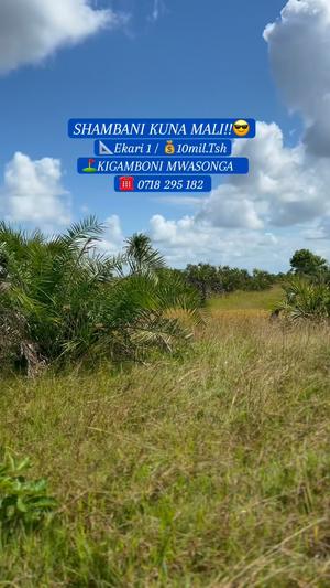Kiwanja kinauzwa Kigamboni Mwasonga Kigobedi, Dar Es Salaam (1 acre)